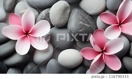 Pink flowers and gray pebbles 116790333