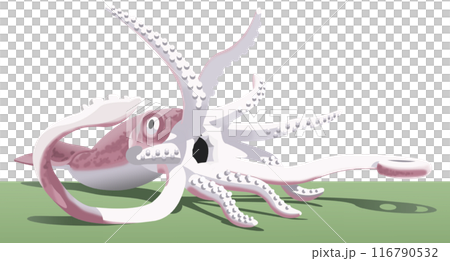 イカキング　観光地イラストアイコン　切り抜き 116790532