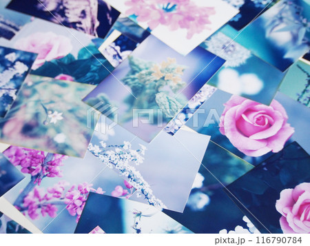 色褪せた紙焼き写真 116790784