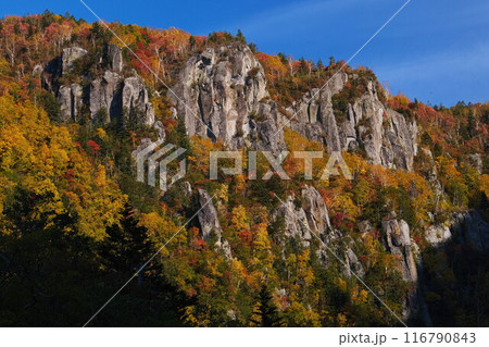 層雲峡の秋 116790843