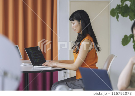 パソコンで作業をする若い女性 116791078