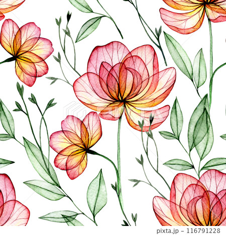 watercolor seamless pattern with transparent peony flowers. X-ray. delicate print with pink flowers 116791228