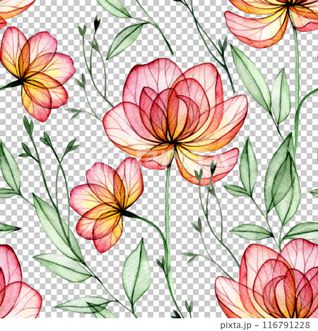 watercolor seamless pattern with transparent peony flowers. X-ray. delicate print with pink flowers 116791228