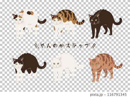 顏卡步貓插畫 116791345