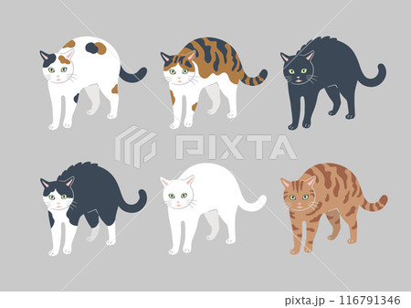 やんのかステップの猫のイラストのイラスト素材 [116791346] - PIXTA