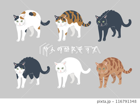 やんのかステップの猫のイラスト 116791348