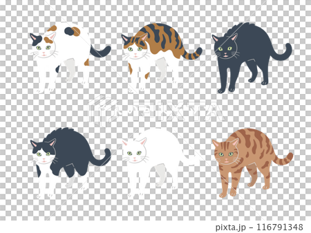 やんのかステップの猫のイラスト 116791348