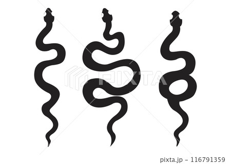 Celestial serpent snake, esoteric tarot or tattoo mystery sacred symbol. Linocut style boho. Occultism and religion, sacred rites and sacrifice. Reptile 116791359