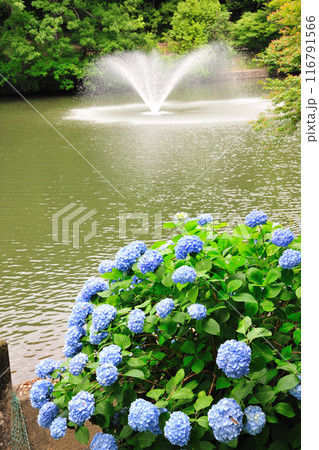 赤塚山公園 116791566