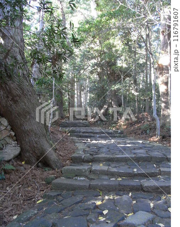熊野古道・大門坂 熊野古道・大門坂 116791607