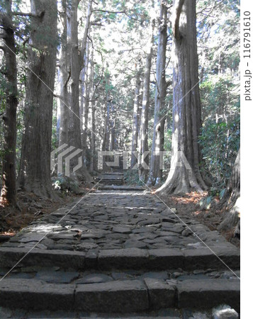 熊野古道・大門坂 熊野古道・大門坂 116791610