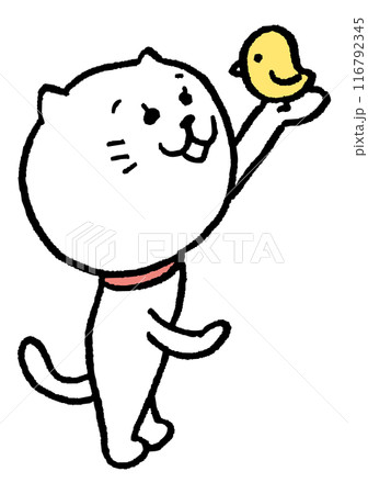 かわいい女子猫キャラの日常イラスト かわいい女子猫キャラの日常イラスト 116792345