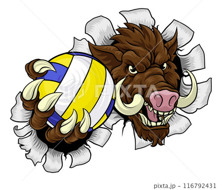 Boar Razorback Hog Volleyball Volley Ball Mascot 116792431