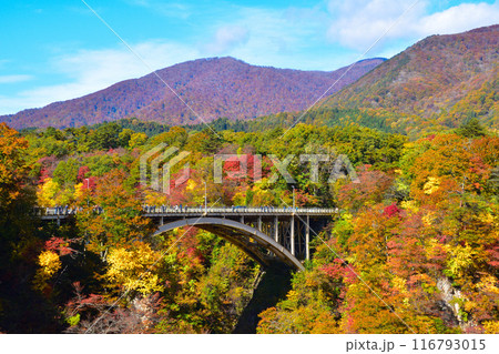 秋　鳴子峡　大深沢橋 116793015