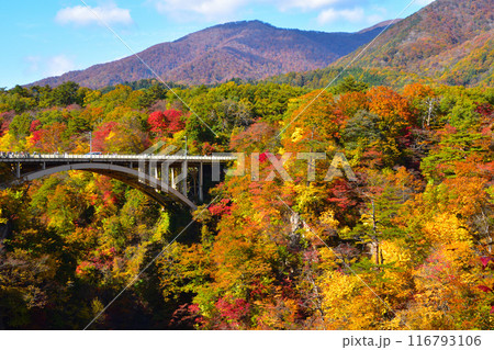 秋　鳴子峡　大深沢橋 116793106