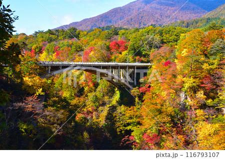 秋　鳴子峡　大深沢橋 116793107