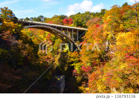 秋 鳴子峡 大深沢橋 秋 鳴子峡 大深沢橋 116793116