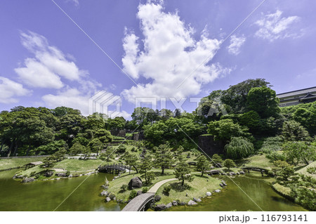 新緑が美しい金沢城玉泉院丸庭園 116793141
