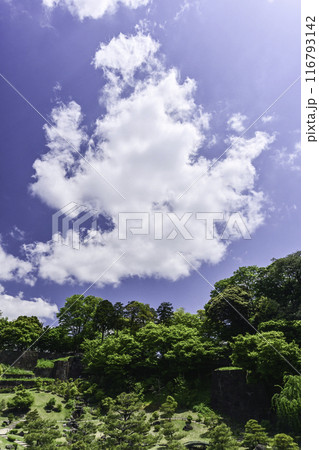 新緑が美しい金沢城玉泉院丸庭園 新緑が美しい金沢城玉泉院丸庭園 116793142
