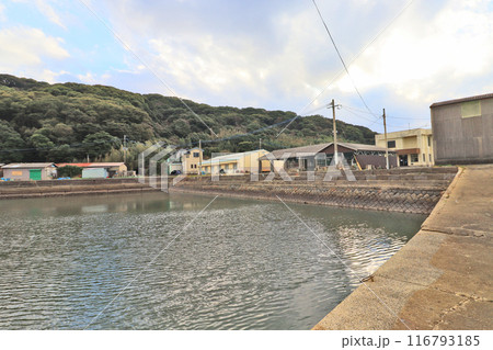 福岡県行橋市の周防灘に面した沓尾漁港 116793185