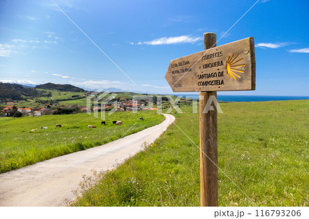 Wooden milestone indicating  route of the Camino de Santiago. 116793206