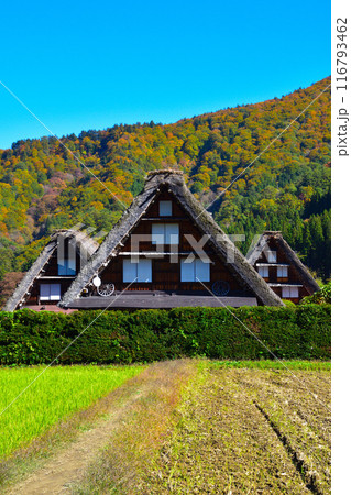 秋 白川郷 荻町地区 秋 白川郷 荻町地区 116793462