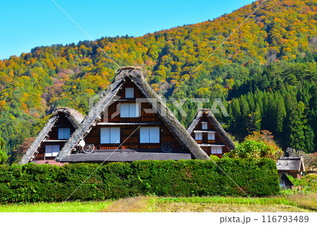 秋　白川郷　荻町地区 116793489