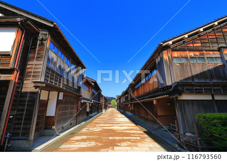 【石川県】快晴の金沢(ひがし茶屋街) 【石川県】快晴の金沢(ひがし茶屋街) 116793560