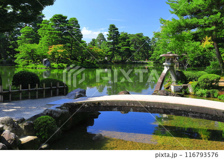 【石川県】晴天の兼六園　徽軫灯籠 116793576