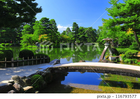 【石川県】晴天の兼六園 徽軫灯籠 【石川県】晴天の兼六園 徽軫灯籠 116793577