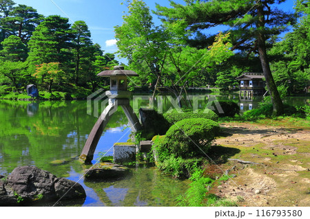 【石川県】晴天の兼六園 徽軫灯籠 【石川県】晴天の兼六園 徽軫灯籠 116793580