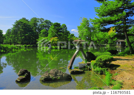 【石川県】晴天の兼六園 徽軫灯籠 【石川県】晴天の兼六園 徽軫灯籠 116793581