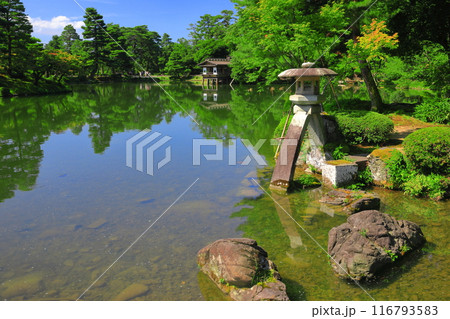 【石川県】晴天の兼六園　徽軫灯籠 116793583