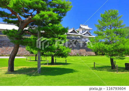 【石川県】快晴の金沢城(菱櫓) 【石川県】快晴の金沢城(菱櫓) 116793604