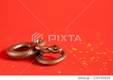 Bronze snake figurine on a red background. The symbol of 2025. Happy Chinese New Year. 116793826