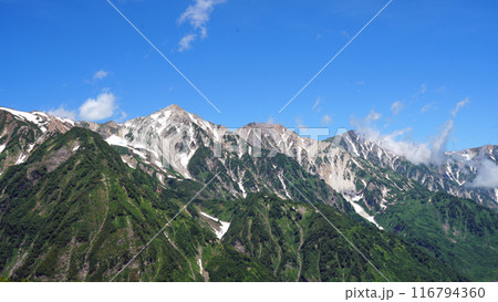 八方尾根から望む初夏の白馬連峰 116794360