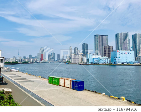 東京湾_竹芝客船ターミナル_ボードウォークから眺める東京湾_東京スカイツリー方面 東京湾_竹芝客船ターミナル_ボードウォークから眺める東京湾_東京スカイツリー方面 116794916