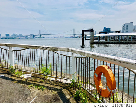 東京湾_竹芝客船ターミナル_から眺める東京湾_日の出埠頭 東京湾_竹芝客船ターミナル_から眺める東京湾_日の出埠頭 116794918