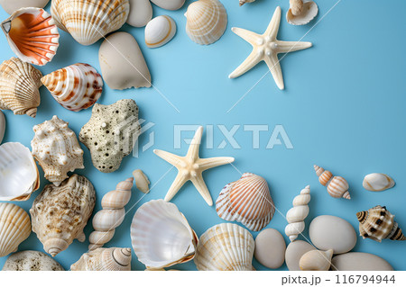 Seashells, pebbles, mockup on blue background. Blank, top view, still life, flat lay. Sea vacation travel concept tourism and resorts. Summer holidays. 116794944