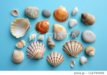 Seashells, pebbles, mockup on blue background. Blank, top view, still life, flat lay. Sea vacation travel concept tourism and resorts. Summer holidays. 116794946