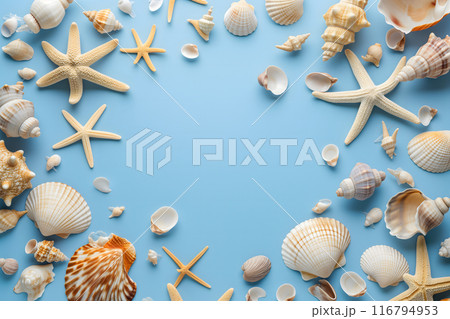 Seashells, pebbles, mockup on blue background. Blank, top view, still life, flat lay. Sea vacation travel concept tourism and resorts. Summer holidays. 116794953