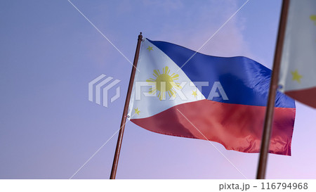 Philippines flag is flying in the sky 116794968