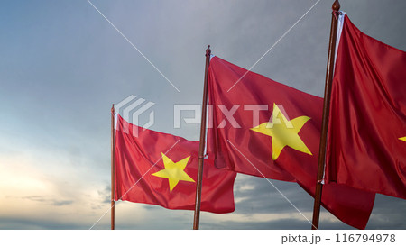 Three flags of Vietnam are flying high in the sky 116794978