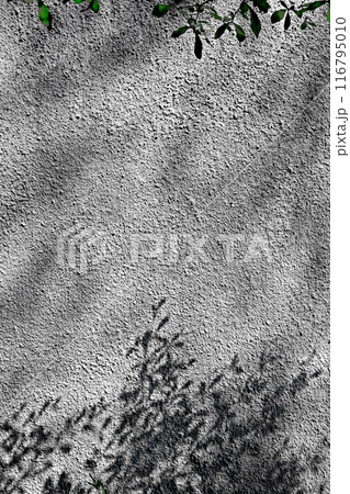 A grey wall with a shadow of a tree on it 116795010