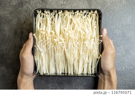 A person is holding a tray of white mushrooms A person is holding a tray of white mushrooms 116795071