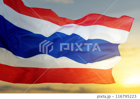 A flag of Thailand is flying in the sky 116795223