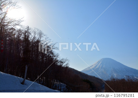 優美・壮大なる蝦夷富士「後志山・後方羊蹄山」 116795281