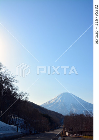 優美・壮大なる蝦夷富士「後志山・後方羊蹄山」 116795282