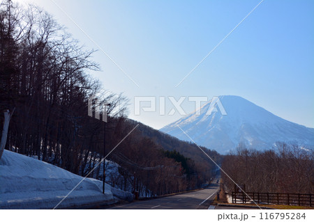 優美・壮大なる蝦夷富士「後志山・後方羊蹄山」 116795284