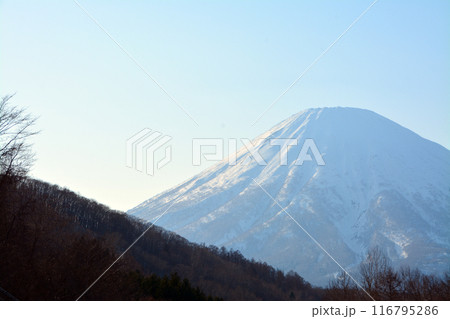 優美・壮大なる蝦夷富士「後志山・後方羊蹄山」 優美・壮大なる蝦夷富士「後志山・後方羊蹄山」 116795286